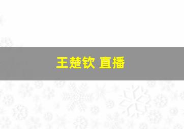 王楚钦 直播